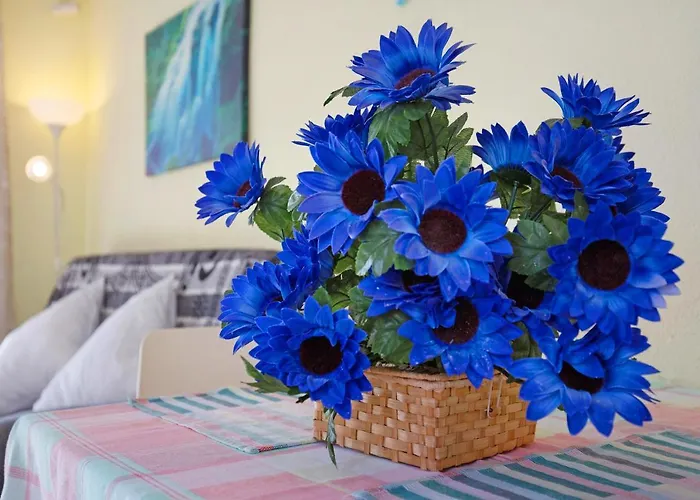 Duplex En Costa Calma-fuerteventura *