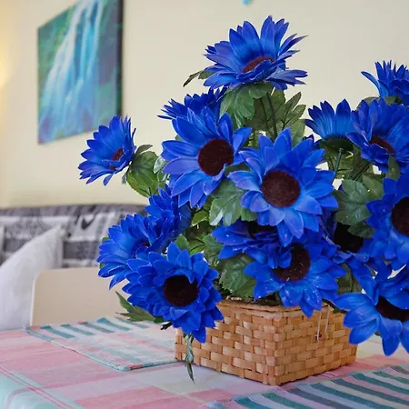 Duplex En Costa Calma-fuerteventura *