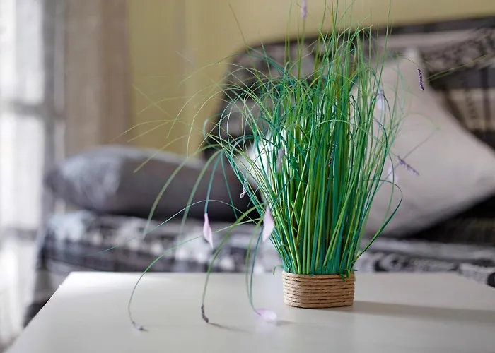 Duplex En Costa Calma-fuerteventura *