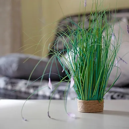 Duplex En Costa Calma-fuerteventura *